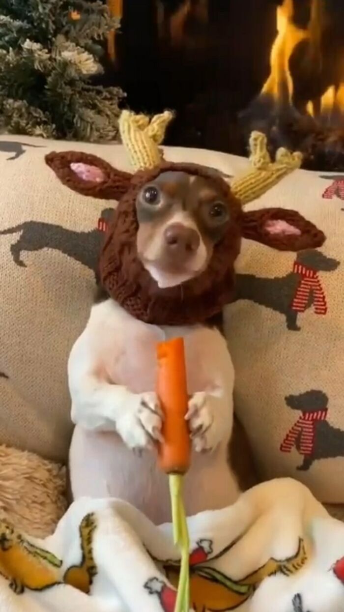 42 das melhores e mais divertidas fotos do Instagram Ugly Design 41