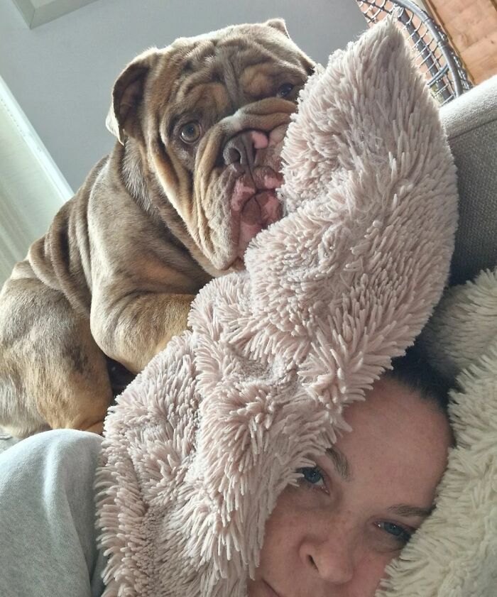 42 momentos hilários em que animais de estimação ignoraram totalmente os limites 5