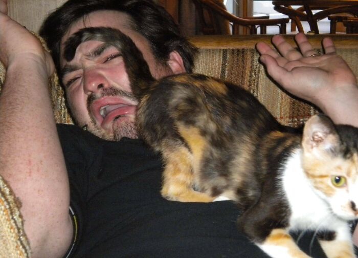 42 momentos hilários em que animais de estimação ignoraram totalmente os limites 15