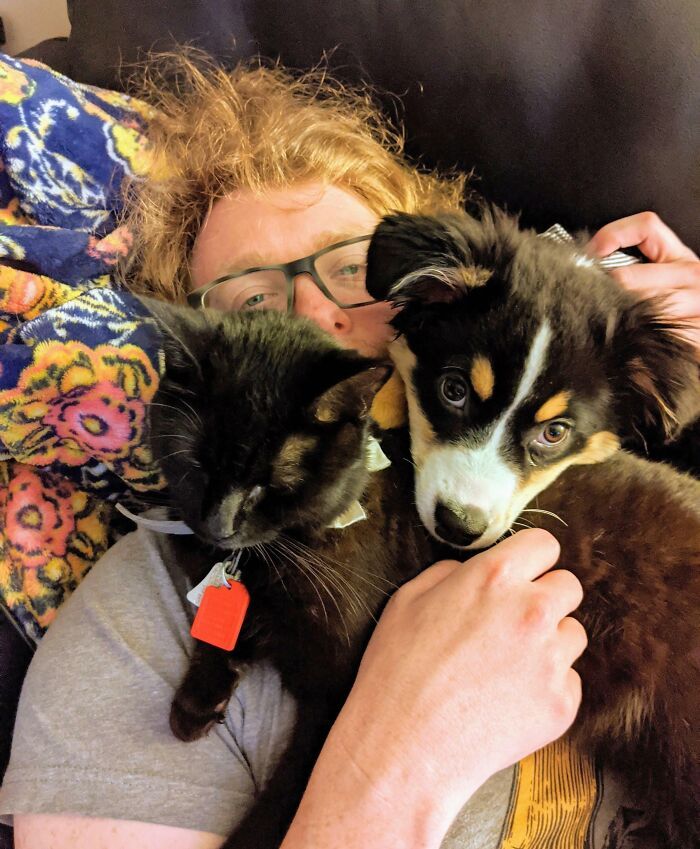 42 momentos hilários em que animais de estimação ignoraram totalmente os limites 17