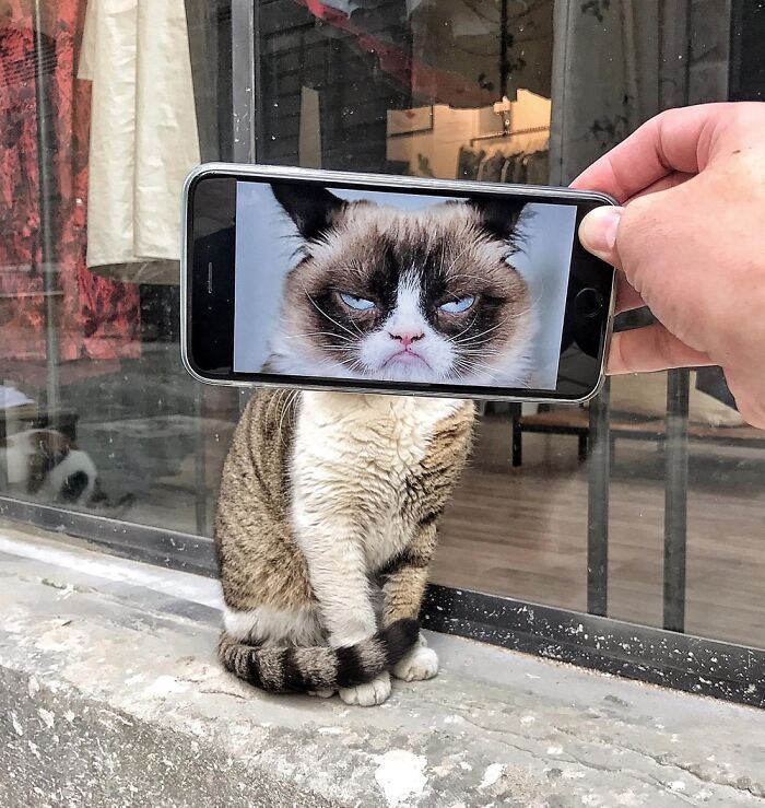 Transformando o cotidiano: Artista combina imagens no smartphone sem usar photoshop (16 fotos) 15