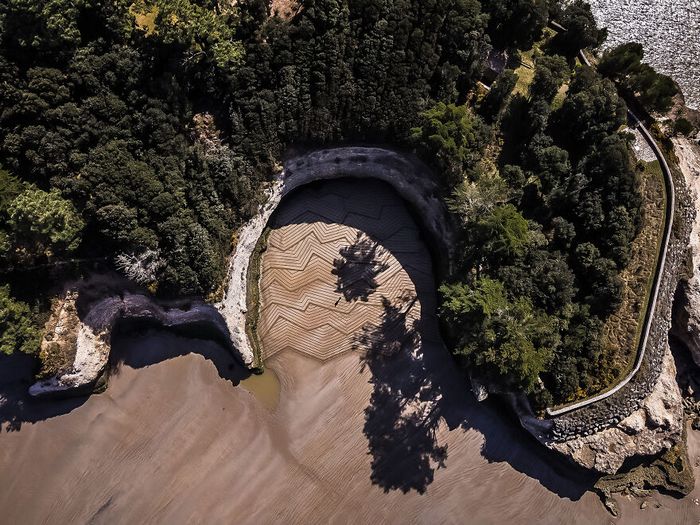 Artista produz grandiosas obras de arte na areia da praia (32 fotos) 10 Artista produz grandiosas obras de arte na areia da praia (32 fotos) 10