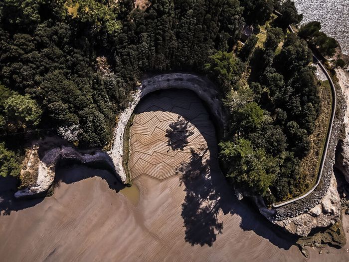 Artista produz grandiosas obras de arte na areia da praia (32 fotos) 10