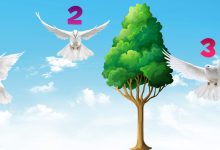 Escolha uma pomba da paz e receba uma bela mensagem de luz 7