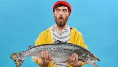 25 piadas de pescador que vão fazer você molhar as calças de tanto rir! 1