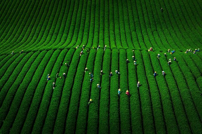 Vietnã do céu: 39 fotografias aéreas incríveis deste artista 30