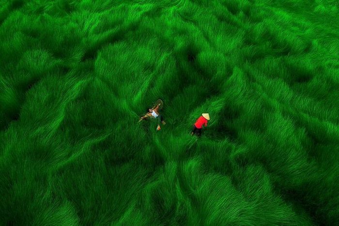 Vietnã do céu: 39 fotografias aéreas incríveis deste artista 37