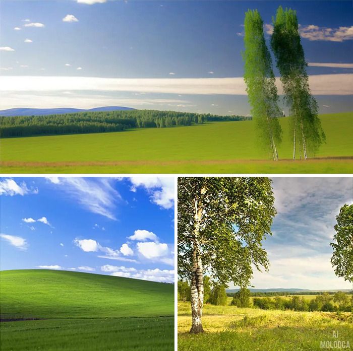 Artista inova ao explorar ferramenta de união de imagens com IA, e o resultado é hilário! (24 fotos) 15