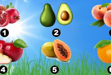 Descubra o seu verão: Deixe a fruta escolhida revelar o que está por vir! 14