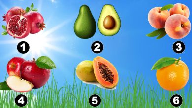 Descubra o seu verão: Deixe a fruta escolhida revelar o que está por vir! 4