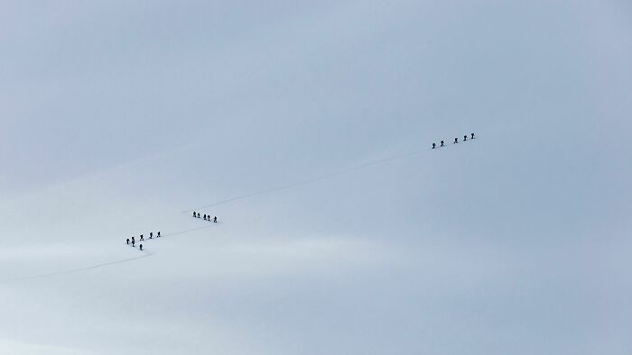 27 fotos que provam que às vezes o mais simples é melhor 3