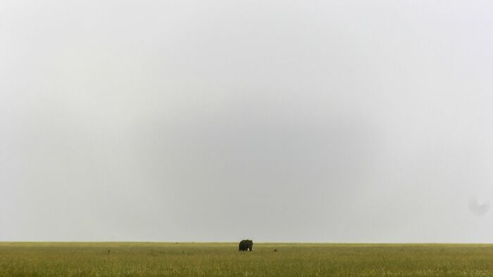 27 fotos que provam que às vezes o mais simples é melhor 5