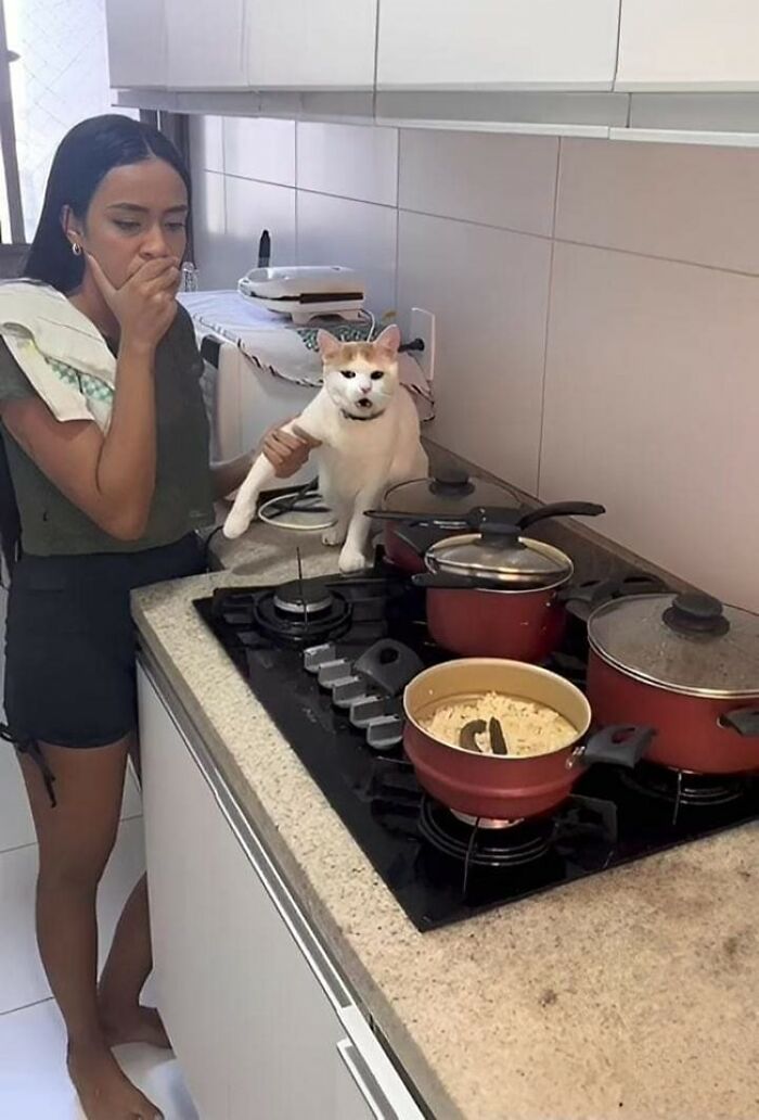 42 imagens de animais que você não pode deixar de ver 2