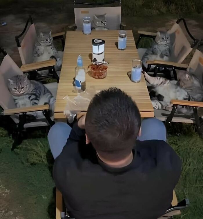 42 imagens de animais que você não pode deixar de ver 34