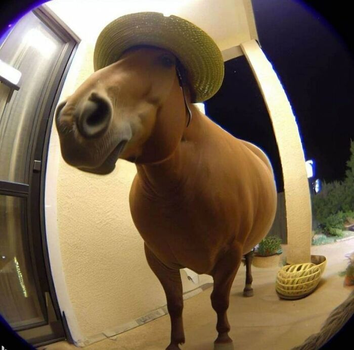 42 imagens de animais que você não pode deixar de ver 42