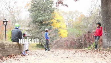 Dragon House – Illusion of Choice Dubstep 9