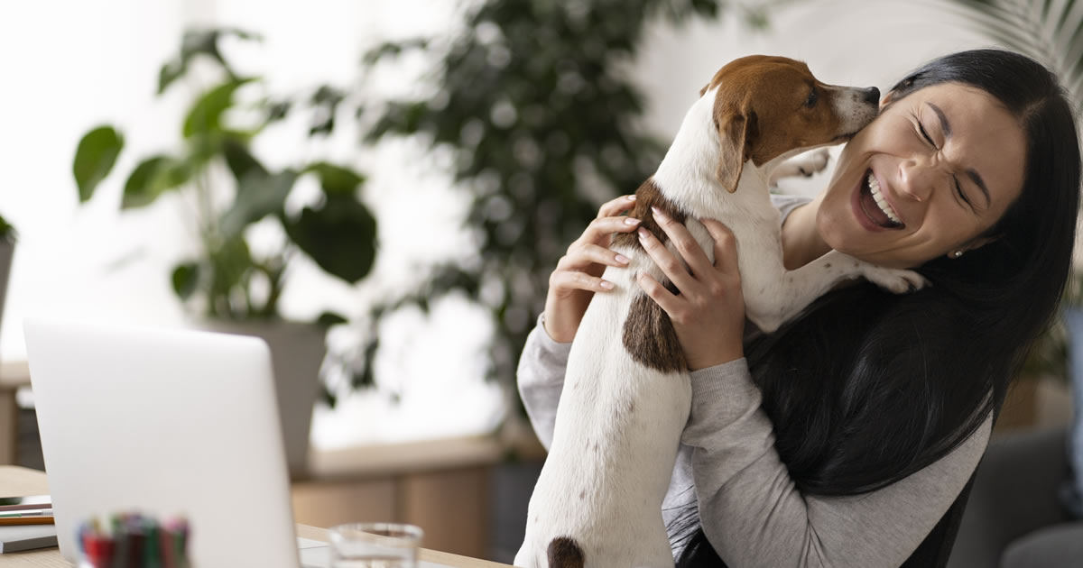 110 ideias divertidas para nomes de animais de estimação e seus significados encantadores 1
