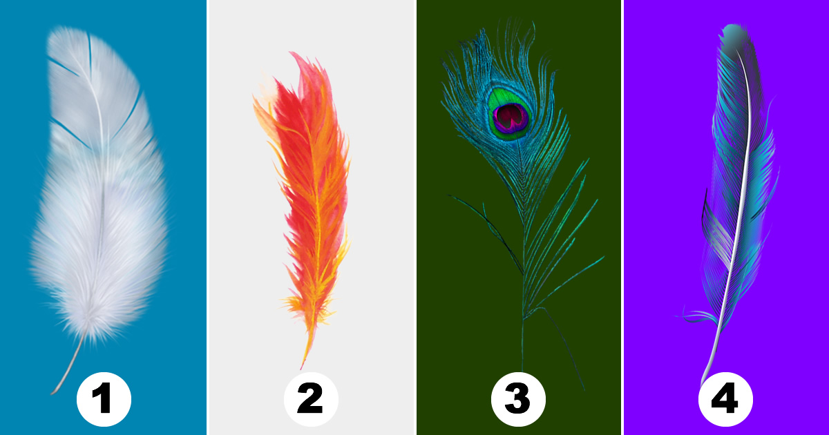 Teste: As penas e suas metáforas, uma jornada para descobrir suas qualidades únicas 1