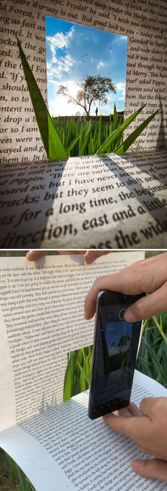 30 truques fotográficos que estão quebrando a internet: Revelados! 8 30 truques fotográficos que estão quebrando a internet: Revelados! 8