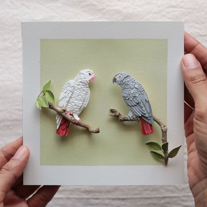 Beleza rara: Arte em papel das mutações genéticas do albinismo (24 Fotos) 1