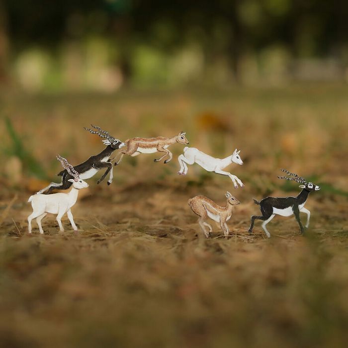 Beleza rara: Arte em papel das mutações genéticas do albinismo (24 Fotos) 3