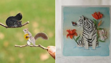 Beleza rara: Arte em papel das mutações genéticas do albinismo (24 Fotos) 67