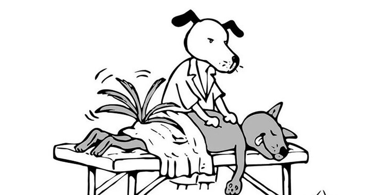 22 cartoons virais e sem palavras com cães de Karlo Ferdon 23