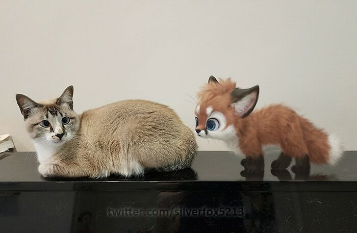 Conheça este artista: Desenhando animais adoráveis em nosso cotidiano! (35 fotos) 2