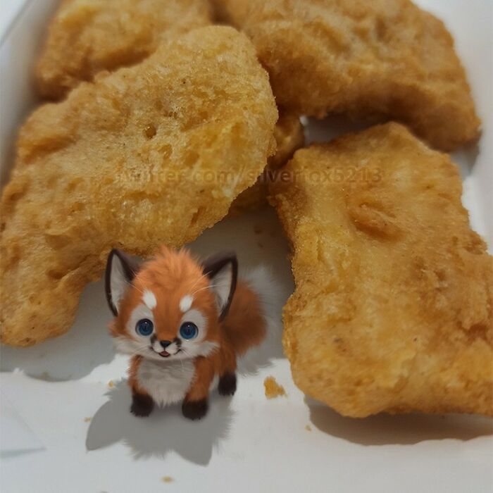 Conheça este artista: Desenhando animais adoráveis em nosso cotidiano! (35 fotos) 3