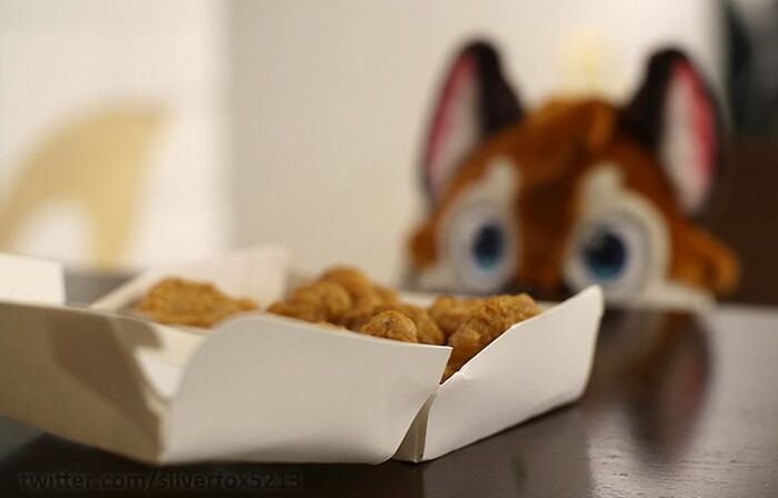 Conheça este artista: Desenhando animais adoráveis em nosso cotidiano! (35 fotos) 7