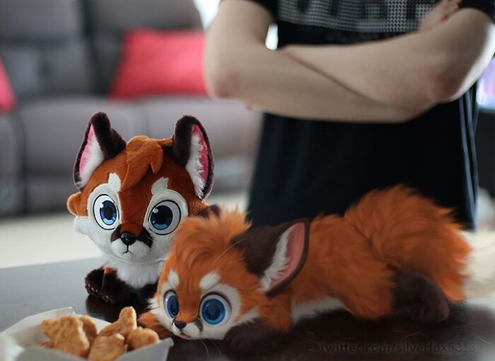 Conheça este artista: Desenhando animais adoráveis em nosso cotidiano! (35 fotos) 8