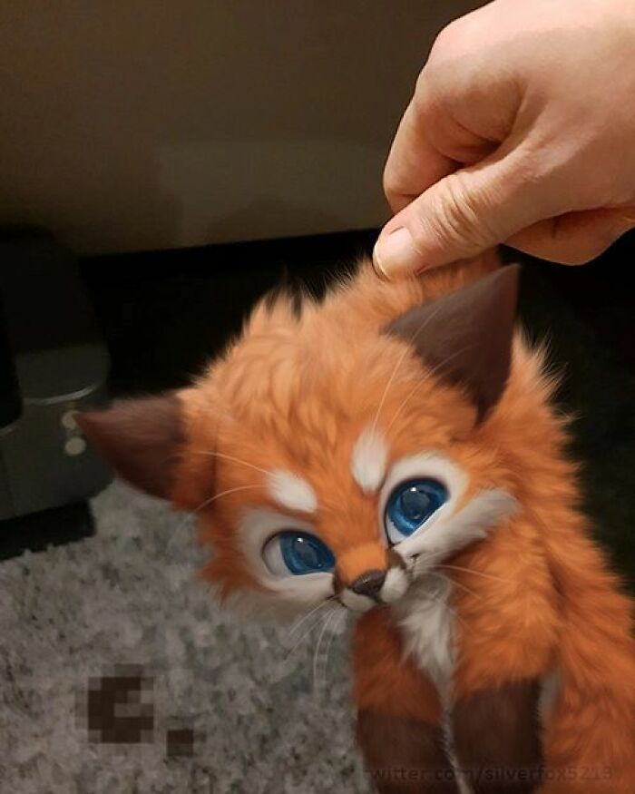 Conheça este artista: Desenhando animais adoráveis em nosso cotidiano! (35 fotos) 13