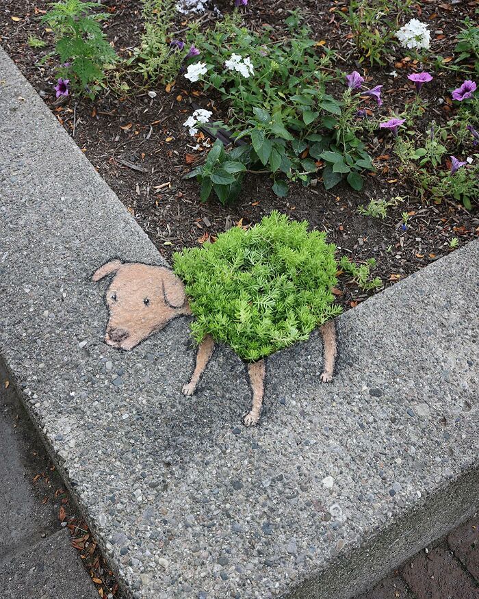 42 criaturas e animais adoráveis rabiscados que apareceram em lugares aleatórios 19