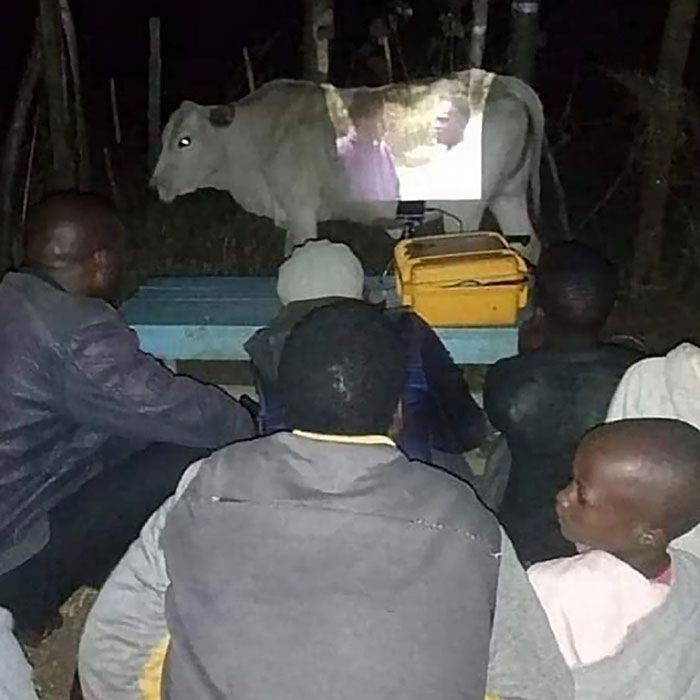 42 fotos mais bizarras que bombaram nesta página sem contexto do Instagram! 7