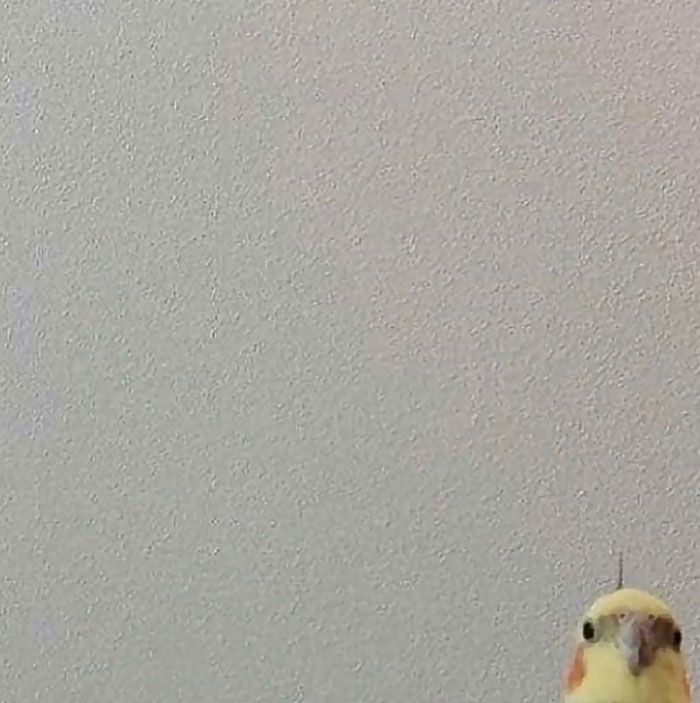 42 fotos mais bizarras que bombaram nesta página sem contexto do Instagram! 9