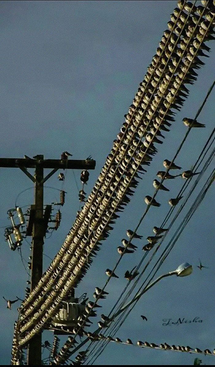 42 fotos mais bizarras que bombaram nesta página sem contexto do Instagram! 10