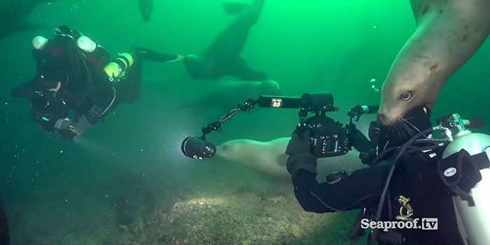 42 fotos mais bizarras que bombaram nesta página sem contexto do Instagram! 31