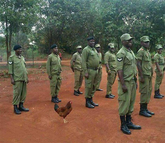 42 fotos mais bizarras que bombaram nesta página sem contexto do Instagram! 41