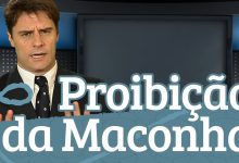 Proibição da Maconha 13