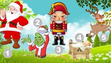 Teste de Natal: Qual personagem festivo você representa? 7