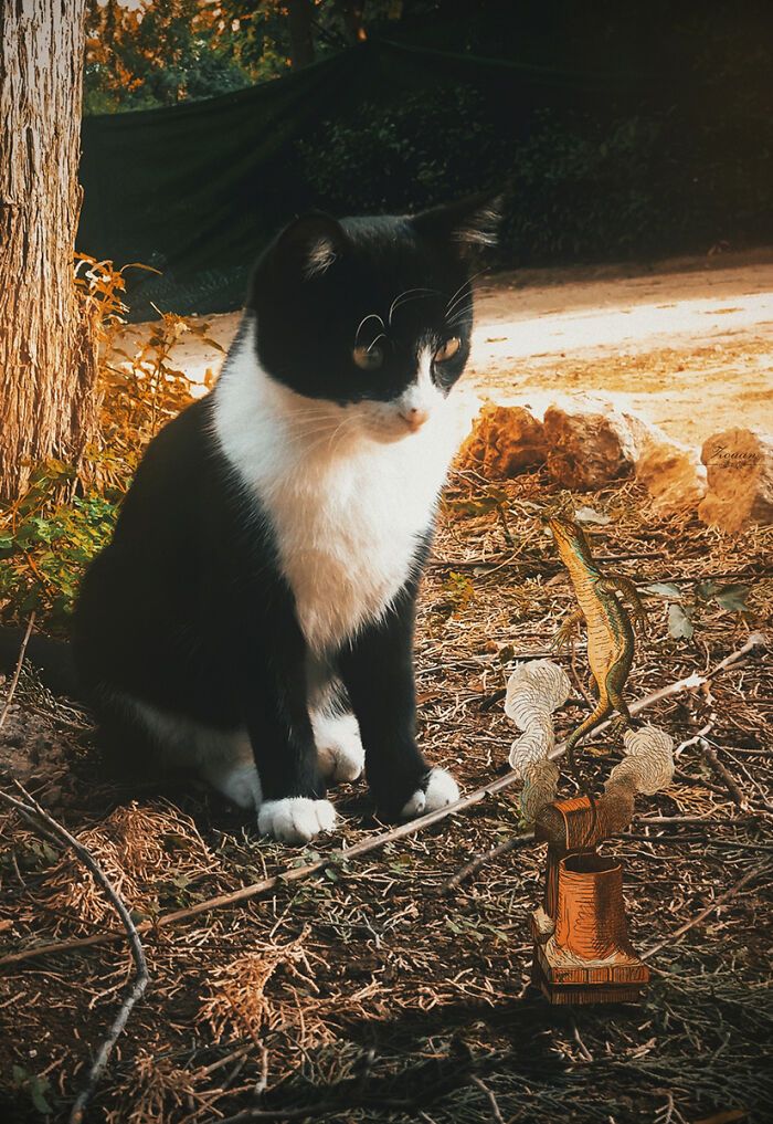 A jornada de Alice no País das Maravilhas de Atenas: 18 colagens criadas por um artista 9