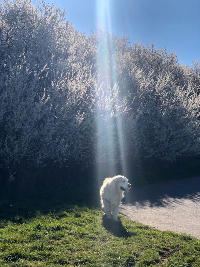 45 descobertas relaxantes para acalmar o perfeccionista em você 14