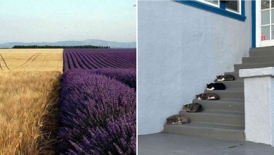 45 descobertas relaxantes para acalmar o perfeccionista em você 48