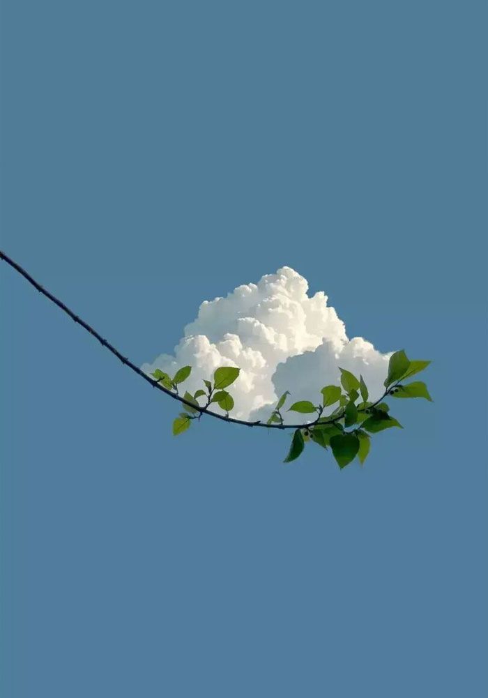 45 descobertas relaxantes para acalmar o perfeccionista em você 40