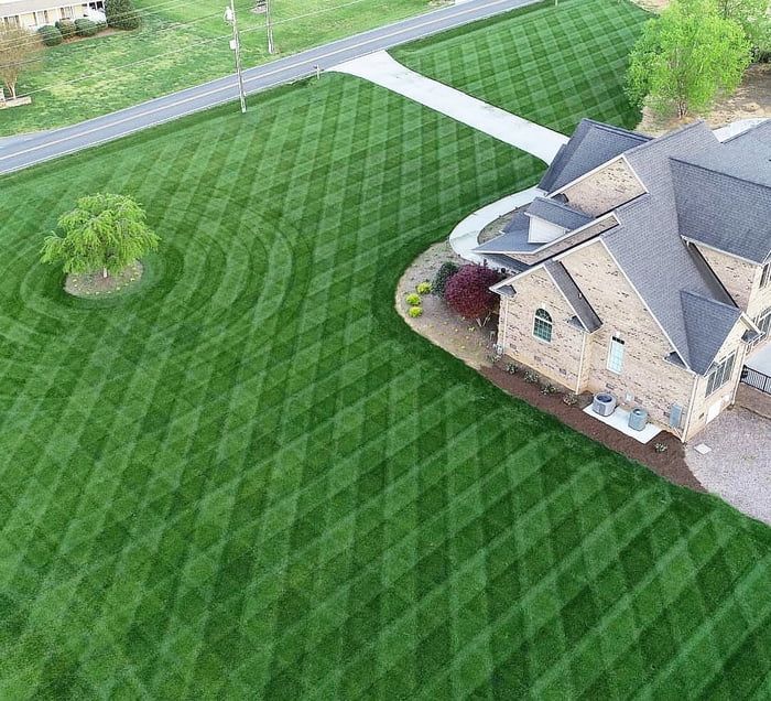 45 descobertas relaxantes para acalmar o perfeccionista em você 41