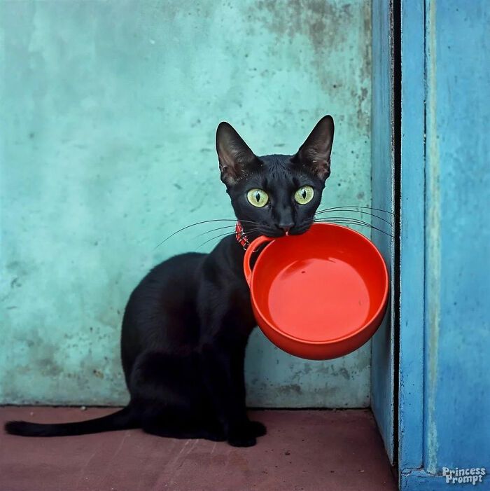 Designer dá vida aos personagens de Os Simpsons com Midjourney (32 fotos) 31