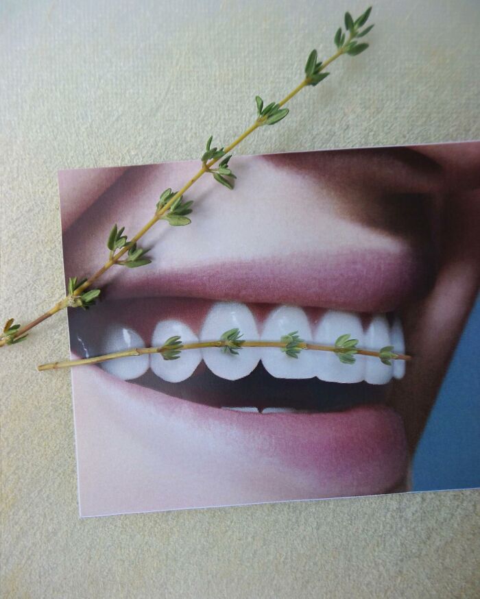 Transformo objetos do dia a dia em ilusões inteligentes (42 fotos) 12