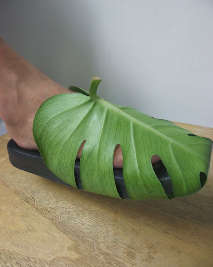 Transformo objetos do dia a dia em ilusões inteligentes (42 fotos) 13