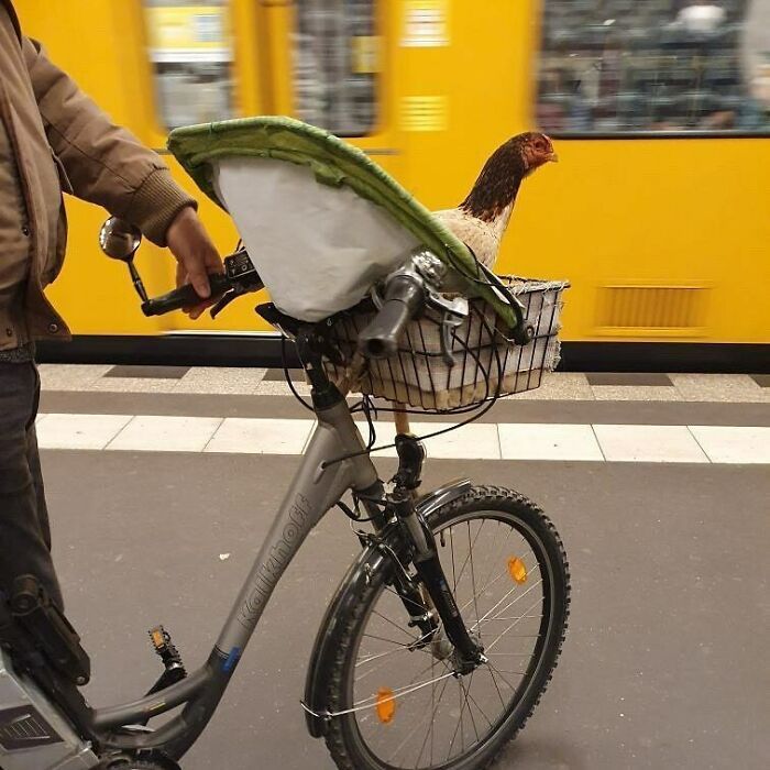 42 vezes que todo mundo precisou olhar duas vezes no metrô de Berlim 6