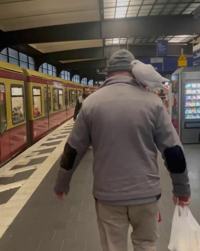 42 vezes que todo mundo precisou olhar duas vezes no metrô de Berlim 18